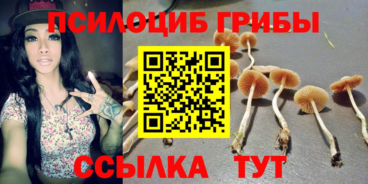 Галлюциногенные грибы мицелий Реж